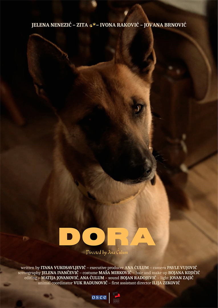 Read more about the article DORA