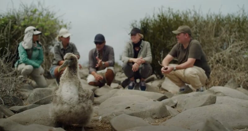 Read more about the article HURTIGRUTEN GALAPAGOS – MEET THE GUESTS