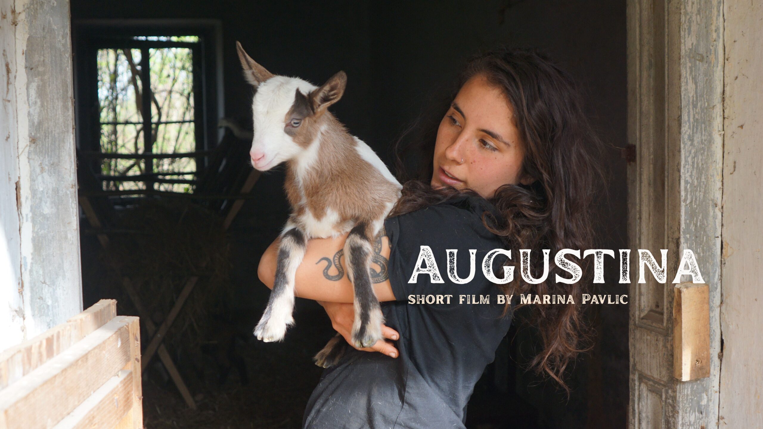 Read more about the article AUGUSTINA