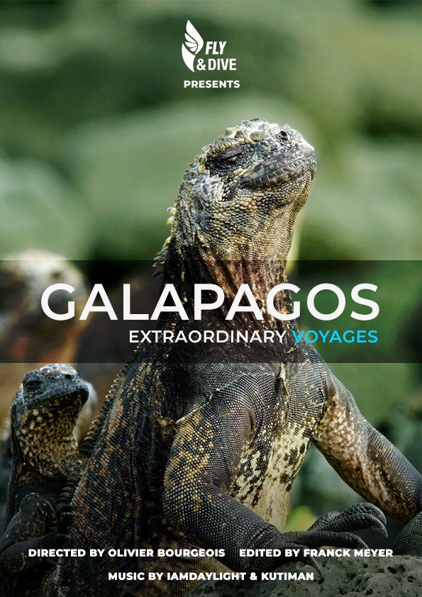 Read more about the article EXTRAORDINARY VOJAGES GALAPAGOS