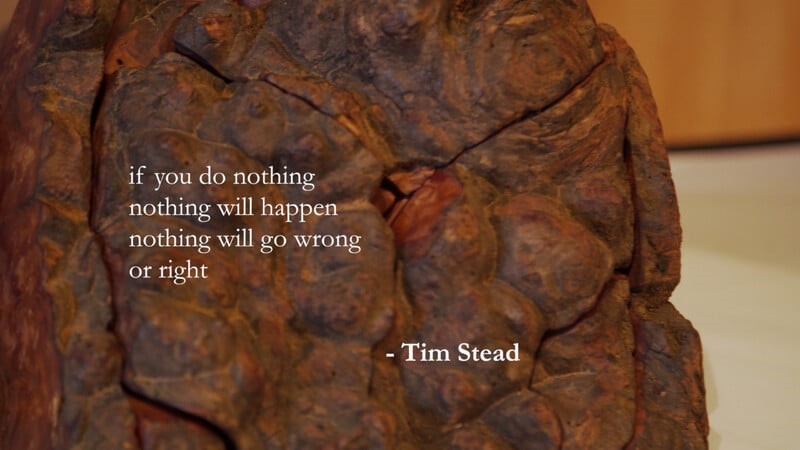 Read more about the article TIM STEAD MAGICIAN WITH WOOD