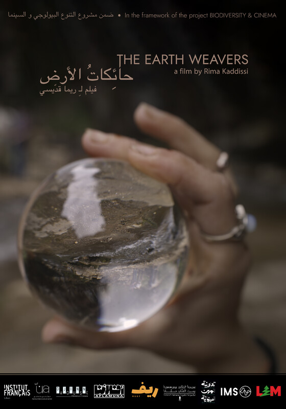 Read more about the article The Earth Weavers
