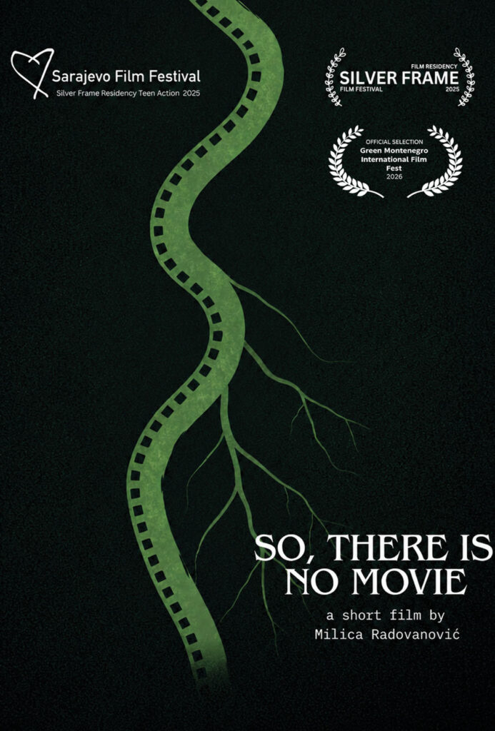 Read more about the article So, There Is No Movie
